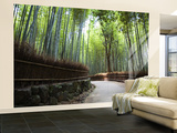 Bamboo Forest Walkway, Arashiyama District Fototapete – groß von Rachel Lewis