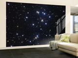 The Beehive Cluster Wall Mural – Large The Beehive Cluster Wall Mural – Large