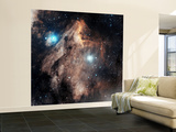 Pelican Nebula Wall Mural – Large Pelican Nebula Wall Mural – Large