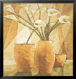 Calas Láminas por Karsten Kirchner Calas Láminas por Karsten Kirchner