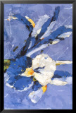 Blue Iris Posters av Nicoletta Belletti