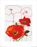 Everything is Connected, Flower, 2009  Prints by Jårg Geismar