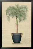 Palmier souverain II Posters par Iksel 
