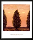 Three Trees, Two Clouds Plakater av John Beerman Three Trees, Two Clouds Plakater av John Beerman