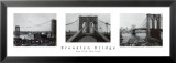 Brooklyn Bridge, Nye Láminas Brooklyn Bridge, Nye Láminas