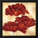 Three Poppies I Posters par Nicola Rabbett
