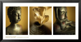 Balancing Light Prints by Tom Weber