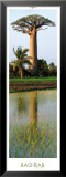 Baobab-Couleurs Exotiques Posters par Philip Plisson
