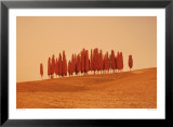 Sunset, Tuscany Posters par W. Krecichwost