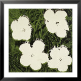 Flowers, c.1964 (White) Prints by Andy Warhol