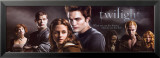 Twilight (Video Release) Poster
