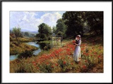 Flowers of the Field Posters by Ernest Walbourn