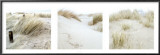 Dunes Print by Philippe Bourseiller