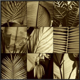 Tropical Leaves I Posters by Caroline Kelly