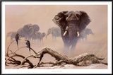 Away from the Herd Prints by Spencer Hodge