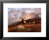 Bookcliffs Elk II Posters par Michael Coleman