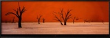 Namibie Prints by Philippe Bourseiller Namibie Prints by Philippe Bourseiller