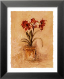 Amaryllis secret II Affiche par Cheri Blum