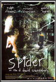 Spider Prints