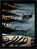 China, Yunnan Rice fields Poster by Yann Layma