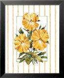 Striped Botanical Pansy Art par Jerianne Van Dijk