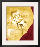 Charming Prints by Joadoor 
