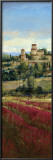 Tuscan Harvest I Prints by P. Patrick