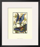 Butterfly V Print by William Henry Pearson