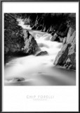 Running River Prints by Chip Forelli