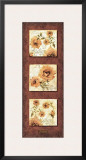 King Rose, Lavinia Posters by Joadoor 