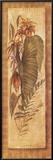 Tropical Perennial II Prints by Steve Butler