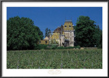 Les Fourniers Vineyards, Cote d'Or Poster by Mick Rock