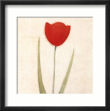 Tulip Series V Arte por Scott Olson