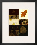 Essential Nature IV Posters by Phillip Jaeger