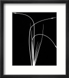 Wild Grasses II Affiches par K. Kennedy