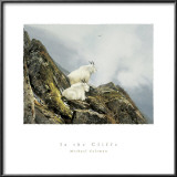 In the Cliffs Print by Michael Coleman