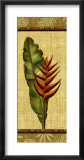 Fleurs Exotiques II Plakater af Charlene Audrey Fleurs Exotiques II Plakater af Charlene Audrey