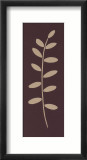 Chocolate Leaf Pósters por Paula Aspery Chocolate Leaf Pósters por Paula Aspery