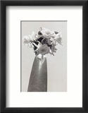 Roses Posters by Lilo Raymond