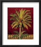 Palmera canaria Láminas por Rodolfo Jimenez Palmera canaria Láminas por Rodolfo Jimenez