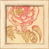 Coral Rose Prints by Swan Papel
