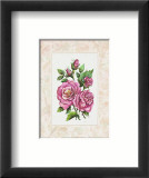 Fleur du jour : la rose Posters par Jerianne Van Dijk