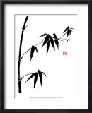 Bamboo II Prints by Jenny Tsang