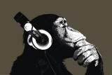 The Chimp-Stereo - Poster The Chimp-Stereo - Poster
