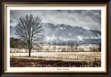 Solitude Prints by Todd Ridge