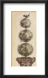 Pompón de hierbas Láminas por Constance Lael