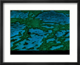 Grande barrière de corail Affiches par Yann Arthus-Bertrand