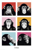 The Chimp-Pop Poster