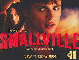 Smallville Ensivedos