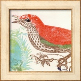Red Bird Poster by Swan Papel